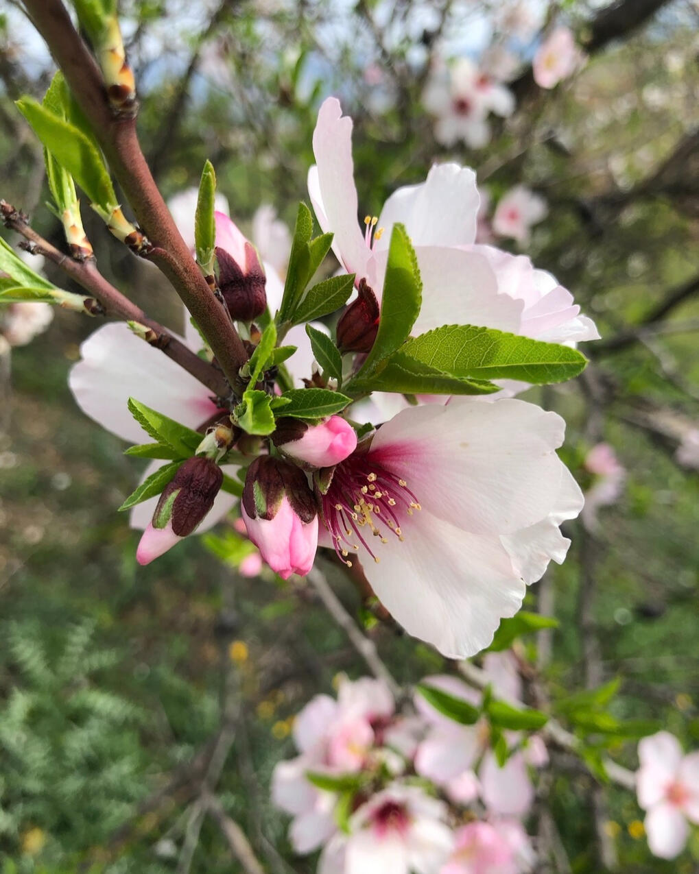 Spain: View from Villa H