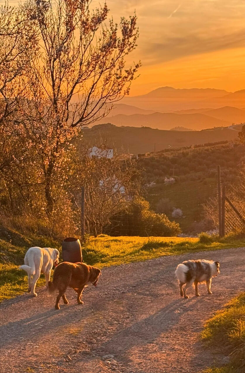 Women solo traveling, meeting and connecting in great new friendships.